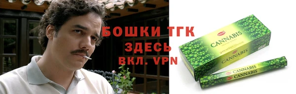 spice Ельня