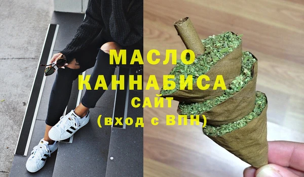 молекула духа Елизово