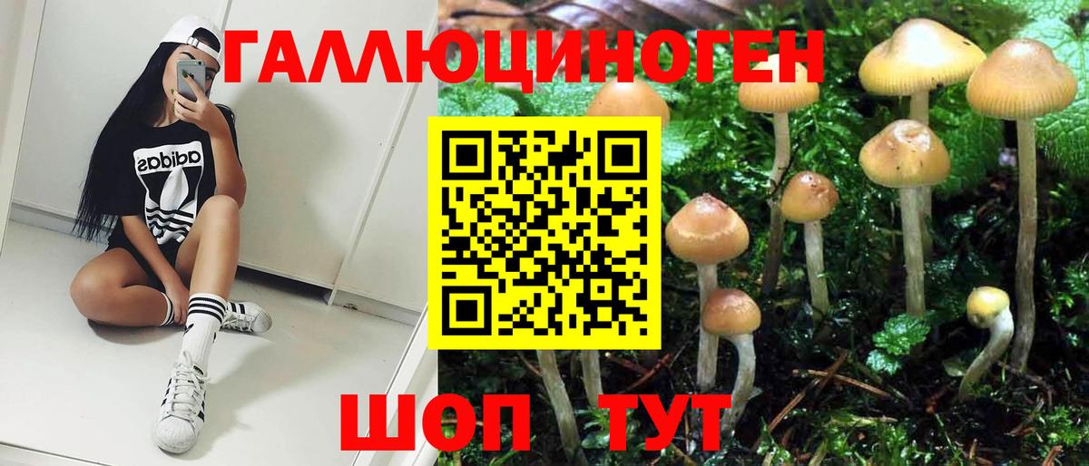 Галлюциногенные грибы MAGIC MUSHROOMS Качканар