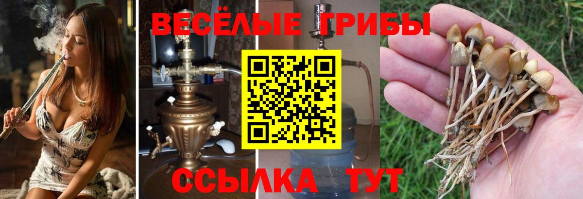 Качканар  Галлюциногенные грибы MAGIC MUSHROOMS  где продают наркотики  Вход с VPN 